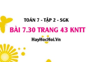 Bài 7.30 trang 43 Toán 7 Tập 2 Kết nối tri thức